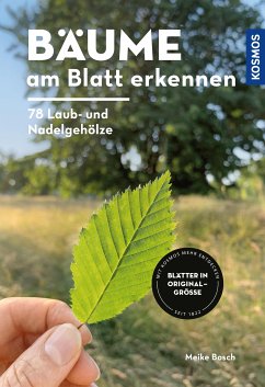 Bäume am Blatt erkennen - 78 Laub- und Nadelgehölze. Blätter in Originalgröße (eBook, PDF) - Bosch, Meike