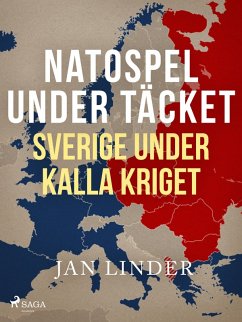 Cover Natospel under täcket (eBook, ePUB)