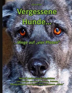 Vergessene Hunde (eBook, ePUB) - Klink, Stefan
