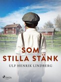 Som stilla stänk (eBook, ePUB)