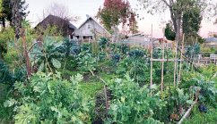 Cover The Quest for Elda (eBook, ePUB)