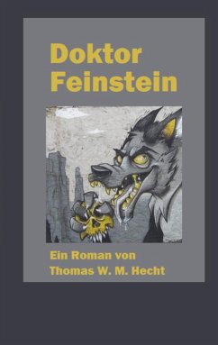 Doktor Feinstein (eBook, ePUB) - Hecht, Thomas