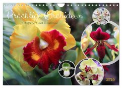 Prächtige Orchideen (Wandkalender 2025 DIN A4 quer), CALVENDO Monatskalender