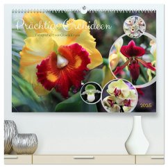 Prächtige Orchideen (hochwertiger Premium Wandkalender 2025 DIN A2 quer), Kunstdruck in Hochglanz - Calvendo;Kruse, Gisela