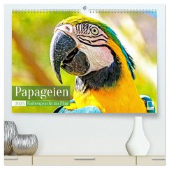 Papageien: Farbenpracht im Flug (hochwertiger Premium Wandkalender 2025 DIN A2 quer), Kunstdruck in Hochglanz - Calvendo