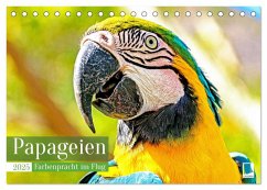 Papageien: Farbenpracht im Flug (Tischkalender 2025 DIN A5 quer), CALVENDO Monatskalender