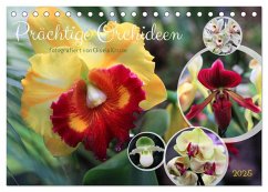 Prächtige Orchideen (Tischkalender 2025 DIN A5 quer), CALVENDO Monatskalender