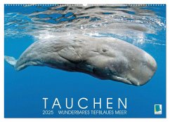 Tauchen: Wunderbares tiefblaues Meer (Wandkalender 2025 DIN A2 quer), CALVENDO Monatskalender - Calvendo