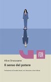 Il senso del potere (eBook, ePUB)