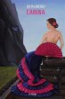 Carina (eBook, ePUB) - Bild 1