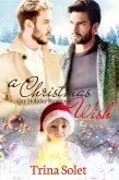 A Christmas Wish (Gay Holiday Romance) (eBook, ePUB)