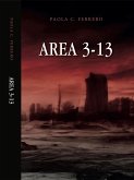 Area 3-13 (eBook, ePUB)