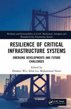 Resilience of Critical Infrastructure Systems