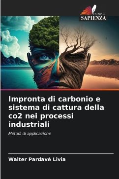 Impronta di carbonio e sistema di cattura della co2 nei processi industriali - Pardavé Livia, Walter