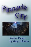 Pinnacle City (eBook, ePUB)