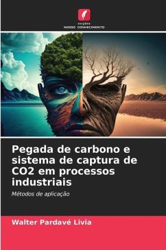 Pegada de carbono e sistema de captura de CO2 em processos industriais - Pardavé Livia, Walter