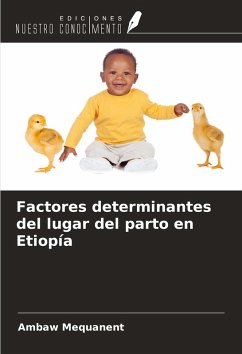 Cover Factores determinantes del lugar del parto en Etiopía