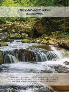 Living Water Mindset Healing Transformation (eBook, ePUB) - Drew, Marie