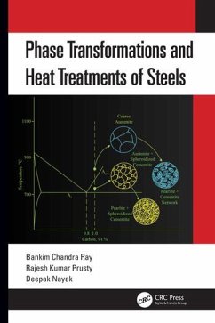 Phase Transformations and Heat Treatments of Steels - Ray, Bankim Chandra; Prusty, Rajesh Kumar; Nayak, Deepak