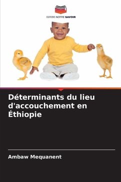 Déterminants du lieu d'accouchement en Éthiopie - Mequanent, Ambaw