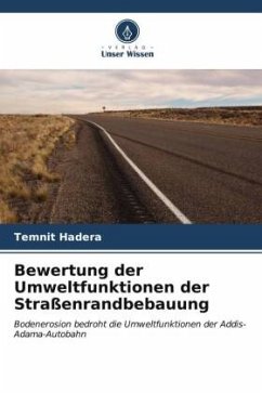 Bewertung der Umweltfunktionen der Straßenrandbebauung - Hadera, Temnit