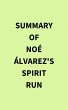 Summary of Noé Álvarez 's Spirit Run... - Bild 1
