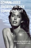 Schamloses Treiben in der Sommernacht (eBook, ePUB)