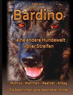 Bardino (eBook, ePUB)