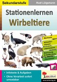 Stationenlernen Wirbeltiere (eBook, PDF)