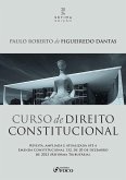 Curso de Direito Constitucional (eBook, ePUB)