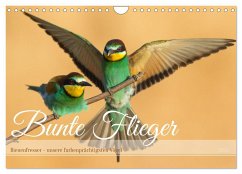 Bunte Flieger (Wandkalender 2025 DIN A4 quer), CALVENDO Monatskalender