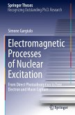 Electromagnetic Processes of Nuclear Excitation