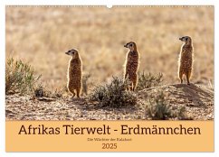 Afrikas Tierwelt - Erdmännchen (Wandkalender 2025 DIN A2 quer), CALVENDO Monatskalender - Calvendo;Voß, Michael