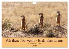 Afrikas Tierwelt - Erdmännchen (Wandkalender 2025 DIN A4 quer), CALVENDO Monatskalender - Calvendo;Voß, Michael