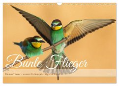 Bunte Flieger (Wandkalender 2025 DIN A3 quer), CALVENDO Monatskalender