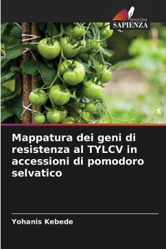 Mappatura dei geni di resistenza al TYLCV in accessioni di pomodoro selvatico - Kebede, Yohanis