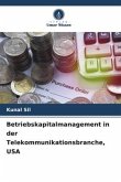 Betriebskapitalmanagement in der Telekommunikationsbranche, USA