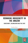 Remaking Indigeneity in the Amazon