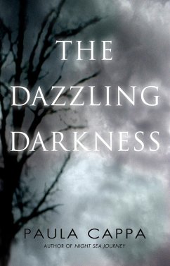 Cover The Dazzling Darkness (eBook, ePUB)