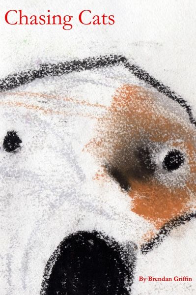 Chasing Cats (eBook, ePUB)