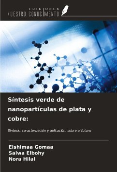 Cover Síntesis verde de nanopartículas de plata y cobre:
