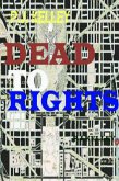 Dead To Rights:Zombie World Order Part Two (eBook, ePUB)