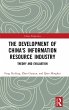 The Development of China's Information... - Bild 1