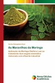 As Maravilhas da Moringa