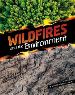 Wildfires and the Environment - Lusted, Marcia Amidon