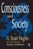 Consciousness and Society