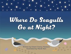 Where Do Seagulls Go at Night? - Clancy-Pantano, Eileen