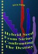 Hybrid Seed From Sirius: Confronting... - Bild 1
