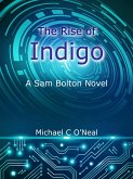 The Rise of Indigo (eBook, ePUB)