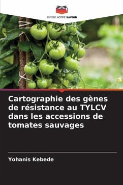 Cartographie des gènes de résistance au TYLCV dans les accessions de tomates sauvages - Kebede, Yohanis